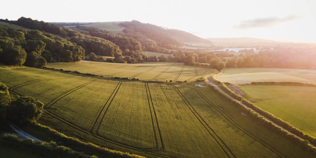 Land Acquisition and Investment