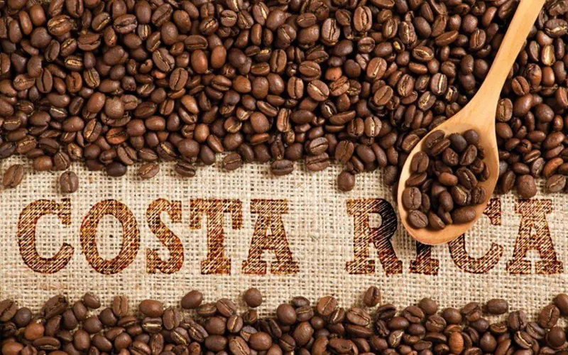 Costa Rican Arabica Beans